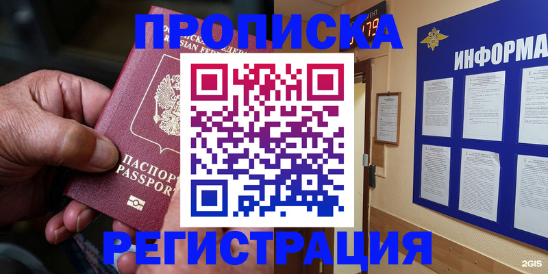 прописка гарантия в Светлограде
